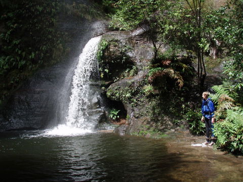 Blue Mountains Adventure Company - Accommodation Main Beach 1