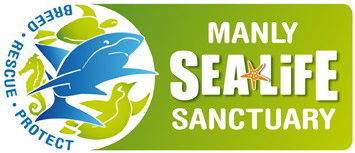 Manly SEA LIFE Sanctuary - Accommodation Main Beach 0