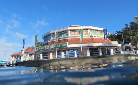 Manly SEA LIFE Sanctuary - Accommodation Main Beach 2