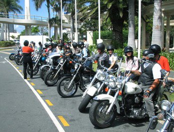 Wildfire Tours - Accommodation Main Beach 1