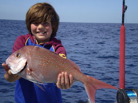 Mills Charters Fishing And Whale Watch Cruises - Accommodation Main Beach 4