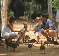 Billabong Sanctuary - Accommodation Main Beach