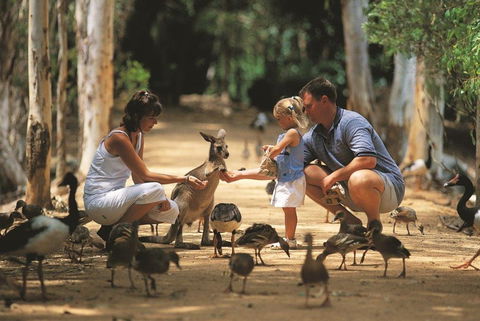Billabong Sanctuary - Accommodation Main Beach 0