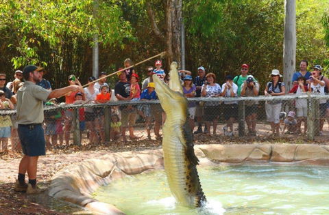 Billabong Sanctuary - Accommodation Main Beach 2