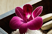 Blush Beauty Saloons - Accommodation Main Beach 4