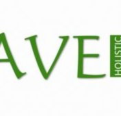 Agave Holistic Day Spa  Beauty - Accommodation Main Beach