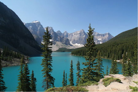 APT - Accommodation Main Beach 5