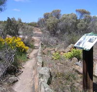 Christmas Rock Walk - Accommodation Main Beach
