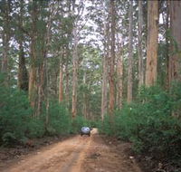 Boranup Drive - Accommodation Main Beach