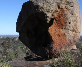 Eagle's View Walk, John Forrest National Park - Accommodation Main Beach 0