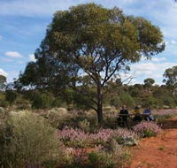 Karlkurla Bushland Park - Accommodation Main Beach