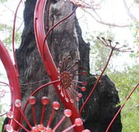 Understory Art In Nature - Accommodation Main Beach