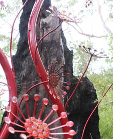 Understory Art In Nature - Accommodation Main Beach 0