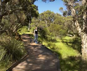Leschenault Peninsula Conservation Park - Accommodation Main Beach 0