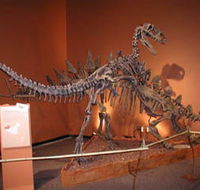 Denmark Dinosaur World - Accommodation Main Beach