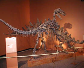 Denmark Dinosaur World - Accommodation Main Beach 0