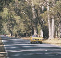 Ludlow Tuart Forest - Accommodation Main Beach