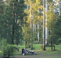 Big Brook Arboretum - Accommodation Main Beach