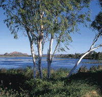 Celebrity Tree Park - Accommodation Main Beach