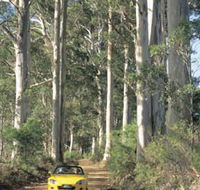 Mount Shadforth Scenic Drive - Accommodation Main Beach