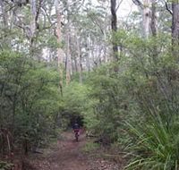 Margaret River Rails Trail - Accommodation Main Beach