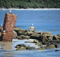 Whalers Beach - Accommodation Main Beach