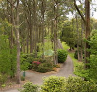 Mount Lofty Botanic Garden - Accommodation Main Beach