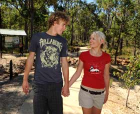 Crooked Brook Forest - Accommodation Main Beach 0