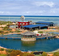 Ocean Park Aquarium - Accommodation Main Beach
