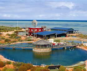 Ocean Park Aquarium - Accommodation Main Beach 0