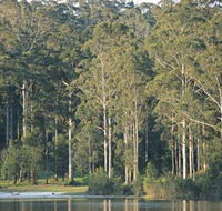 Big Brook Dam - Accommodation Main Beach