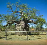Pigeon Heritage Trail - Accommodation Main Beach