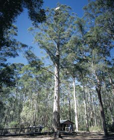 Balbarrup WA Accommodation Main Beach