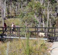 Forest Path Crooked Brook - Accommodation Main Beach
