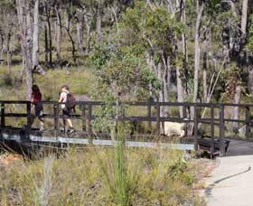 Forest Path, Crooked Brook - Accommodation Main Beach 0