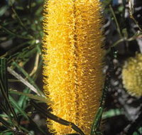 Moore River National Park - Accommodation Main Beach