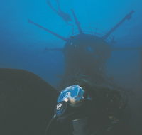 Swan Dive Wreck - Accommodation Main Beach