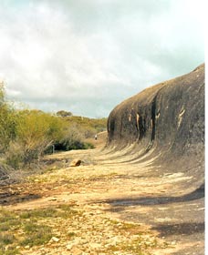 Totadgin Dam Reserve - Accommodation Main Beach 0