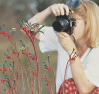 Gingin Cemetery - Accommodation Main Beach