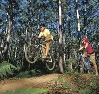 Leeuwin-Naturaliste National Park - Cowaramup - Accommodation Main Beach