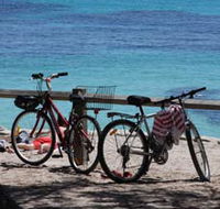 Parker Point Marine Snorkel Trail - Accommodation Main Beach