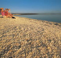 Shell Beach - Accommodation Main Beach