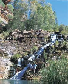 Fortescue Falls - Accommodation Main Beach 0
