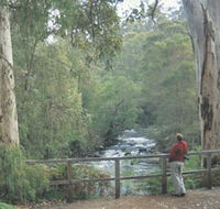Cascades - Accommodation Main Beach