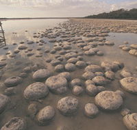 Yalgorup National Park - Accommodation Main Beach