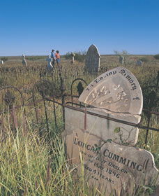 Accommodation Main Beach