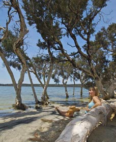 Stokes National Park - Accommodation Main Beach 0