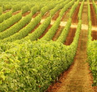 Xanadu Wines - Accommodation Main Beach