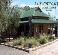 Rain Moth Gallery - Accommodation Main Beach