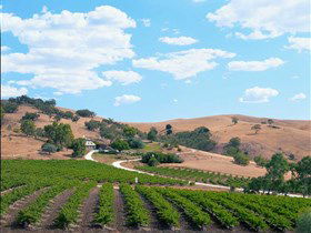 Bethany Wines - Accommodation Main Beach 0